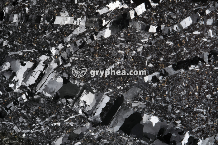 Quartz dans roche volcanique LPA x1,5 - gryphea.org